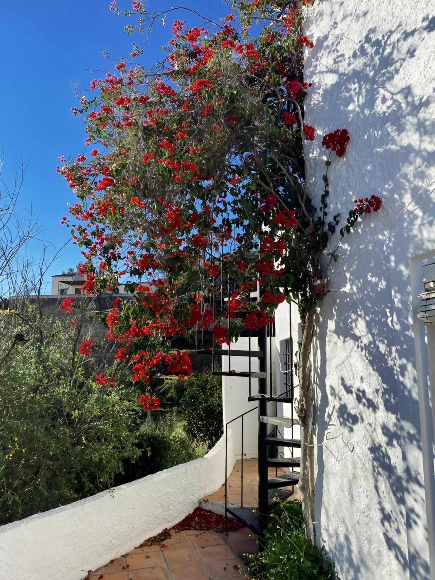 Cortijo De La Fuente Con Vistas Impresionantes Y Playas A 20 Minutos Villa Bedar Luaran gambar